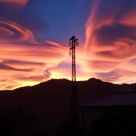 Orta Openspace Garden