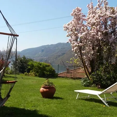 Orta Openspace Garden 公寓