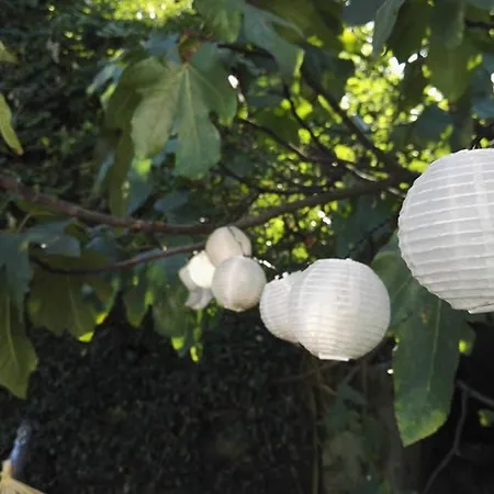 Апартаменты Orta Openspace Garden