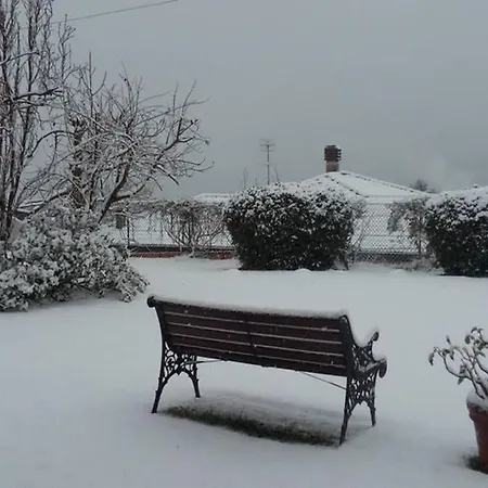 Orta Openspace Garden 公寓